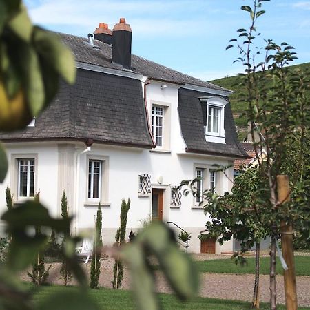 Les Charmes De La Vallee Noble Soultzmatt Buitenkant foto
