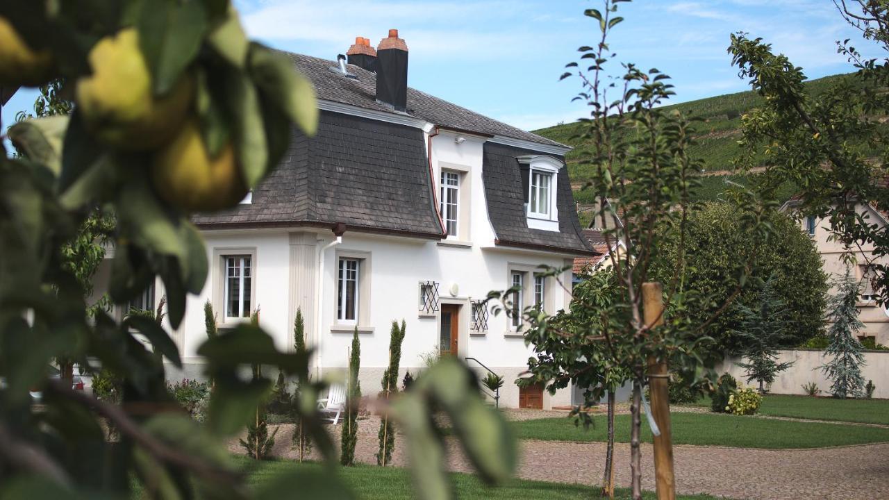 Les Charmes De La Vallee Noble Soultzmatt Buitenkant foto